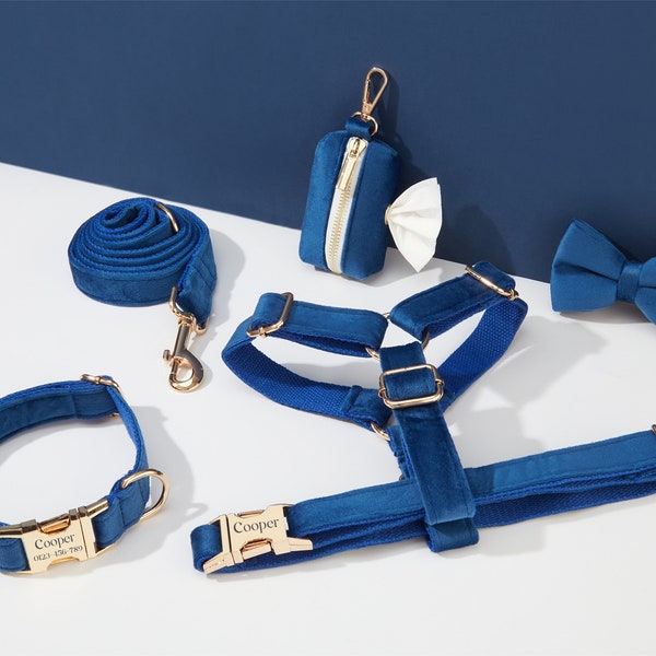 Harnais et laisse pour chien en velours RoyalBlue, personnalisez le harnais de chiot Step In + collier + nœud papillon + porte-sac caca, faisceau de harnais de mariage sans traction