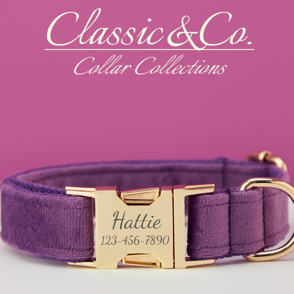 Collier de chien personnalisé avec boucle en métal gravée pour animal de compagnie, collier et laisse de chien en velours violet avec cloche et nœud, livraison gratuite