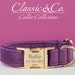 see more listings in the Collier pour chien en velours section