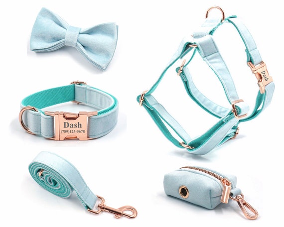 Aqua Samt Geschirr und Leine Set, personalisieren Step In Welpen Geschirr +  Halsband + Fliege + Poo Bag Halter, kein Pull-Hochzeits-Geschirr - Etsy  sterreich