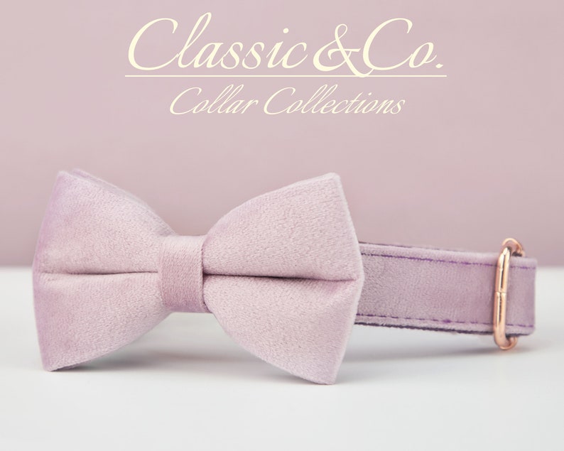 Lavender Velvet Personalized Dog Collar Bow Tie Leash Set,Custom Engraved Pet Name Metal Buckle,Lilac Birthday Puppy Gift,FREE Shipping image 4