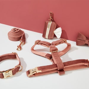 May include: A set of pink velvet dog accessories, including a collar, lead, harness, poop bag holder, and a bow tie. The collar and harness are personalised with the name "Mochi" and a phone number.