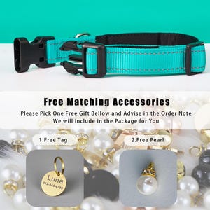 Puede incluir: Un collar de perro turquesa con herrajes negros. El collar se muestra con dos opciones de regalo gratis: una placa de perro dorada con el texto "Luna 012-345-6789" y un dije de perla dorada.