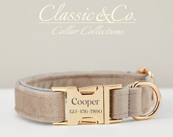 May include: A light gray velvet dog collar with a gold metal buckle. The buckle is engraved with the name "Cooper" and the phone number "123-456-7890".
