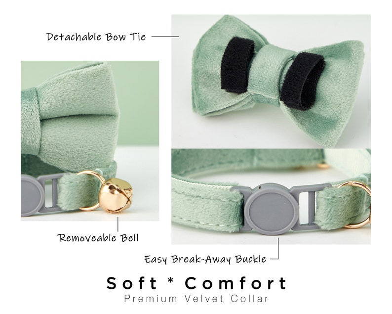 Breakaway SageGreen Velvet Personalized Cat Collar Bowtie Leash Set,Custom Engraved Kitten Name Safety Buckle,Free Gold Bell,Female Pet Gift image 5