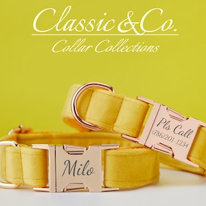 Yellow Velvet Personalize Dog Collar Leash Set with Flower & Bow Tie for Male Female Pet,Gold Engraved Name Tag,Wedding Puppy Gift