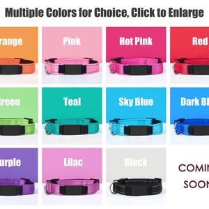 Puede incluir: Un collage de 12 collares para perros en varios colores, incluyendo naranja, rosa, rosa intenso, rojo, verde, azul verdoso, azul cielo, azul oscuro, morado, lila y negro. Los collares est&aacute;n hechos de nylon y tienen una hebilla de metal. El texto "Multiple Colors for Choice, Click to Enlarge" est&aacute; en la parte superior de la imagen. El texto "COMING SOON!" est&aacute; en la parte inferior derecha de la imagen.