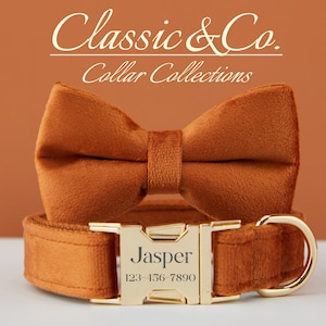 Dog Collar Bow Tie Lead,Caramel Velvet Boy Dog Collar With Engraved Name Metal Buckle,Puppy Collar and Lead