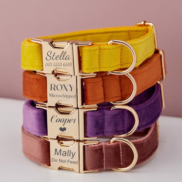 Multiple Colour Velvet Personalise Dog Collar Leash Set with Bow,Yellow+Purple+Caramel,Engraved Pet Name Tag Metal Buckle,Wedding Puppy Gift