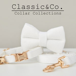 White Velvet Personalized Cat & Small Dog Collar Bow Tie Leash Set,Free Engraved Kitten Puppy Name Tag,Gold Bell,Pet Birthday Gift