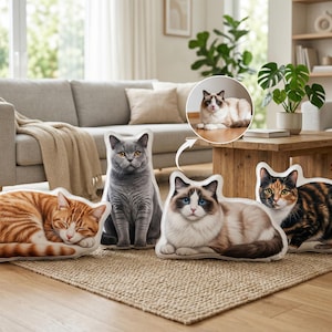 Peut inclure: Plusieurs coussins en forme de chats de différentes races et poses. Les coussins présentent des détails et des couleurs réalistes, notamment un tabby orange endormi, un British Shorthair gris et un chat Ragdoll. Une incrustation circulaire montre un chat Ragdoll.