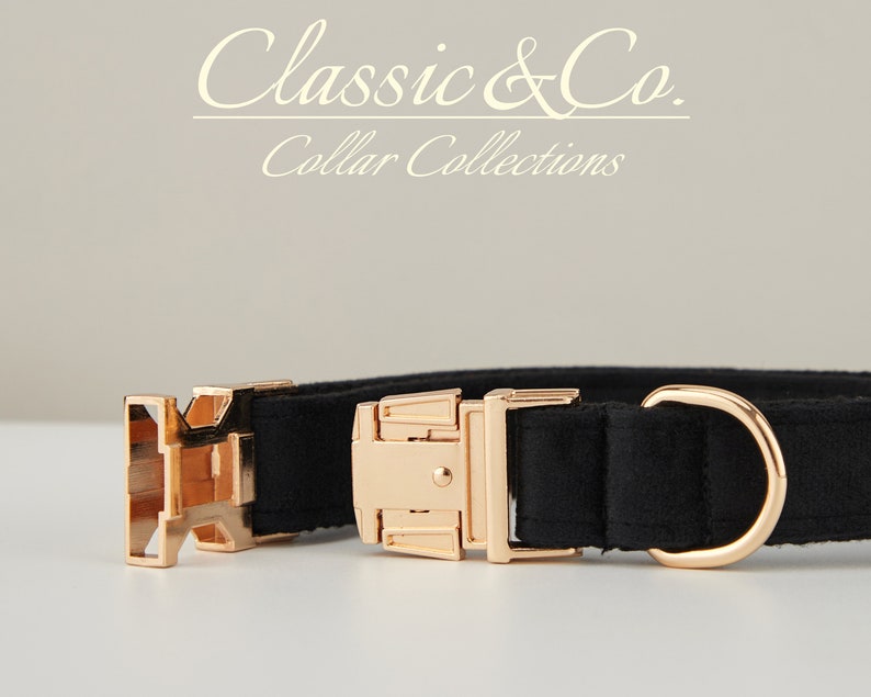 May include: Black dog collar with gold-tone hardware. The collar has a buckle closure and a D-ring for attaching a leash. The collar is made of a soft, durable material.