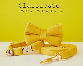 Könnte beinhalten: Ein gelbes Samt-Halsband und eine Leine mit passendem Fliege. Das Halsband hat eine goldene Schnalle mit dem Namen "Tina" und einer eingravierten Telefonnummer. Die Leine hat einen goldenen Haken.