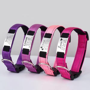Reflective Dog Collar Personalized with Leash, Pet Collar with Engraved Name Detachable Metal Tag, Silent Adjustable Nylon Custom Cat Collar