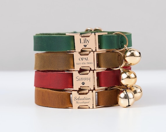 Bevanda Pesce Dire Bugie Porta Per Cani Da Muro Amazon Un Fedele Esattamente Arm - Foto 6