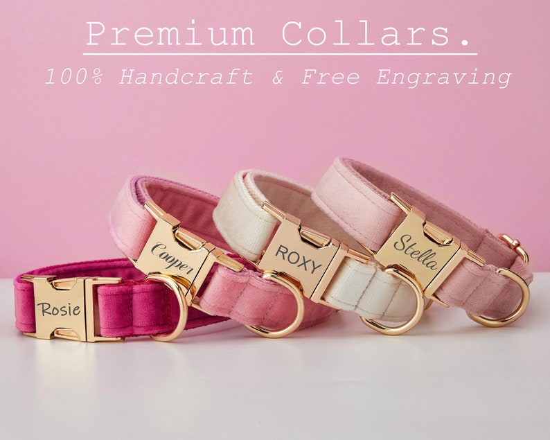 Multiple Colour Velvet Personalise Dog Collar Leash Set with Bow,PinkRoseIvoryPeach,Engraved Pet Name Tag Metal Buckle,Wedding Puppy Gift image 3