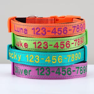 Pode incluir: Uma pilha de quatro coleiras personalizadas para cães em cores vibrantes: laranja, verde, turquesa e roxo. Cada coleira exibe um nome e um número de telefone em uma cor contrastante. As coleiras têm fivelas de plástico e são feitas de tecido.