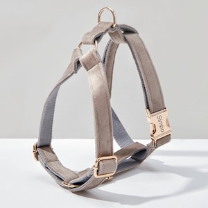 Ensemble harnais et laisse pour chien en velours gris, harnais pour chiot personnalisé collier nœud papillon porte-sac caca, faisceau de harnais de mariage sans traction Harness Only