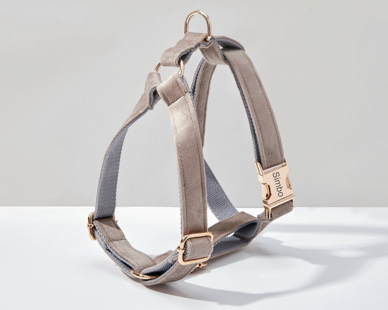 Ensemble harnais et laisse pour chien en velours gris, harnais pour chiot personnalisé collier nœud papillon porte-sac caca, faisceau de harnais de mariage sans traction Harness Only