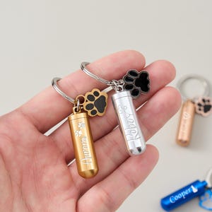 Peut inclure: Plusieurs porte-clés commémoratifs pour animaux de compagnie. Les porte-clés présentent de petits contenants cylindriques dorés, argentés et bleus, gravés d'un nom. Chaque porte-clés a un charm en forme de patte. Les noms "Aurora", "Robe", et "Cooper" sont visibles.