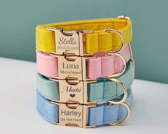 May include: Four colorful dog collars with gold buckles and personalized engraved name tags. The collars are stacked on top of each other, with the yellow collar on top and the blue collar on the bottom. The name tags read "Stella", "Luna", "Mochi", and "Harley".