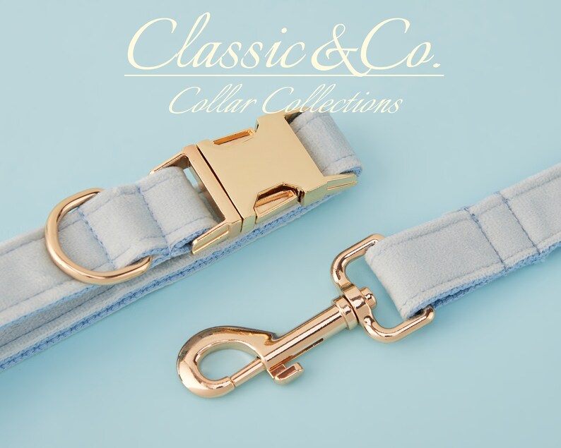 May include: A light blue velvet dog collar and leash set with gold hardware. The collar has a gold buckle and the leash has a gold hook.