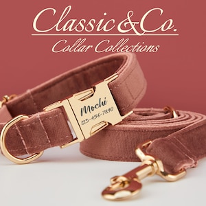 Arizona Velvet Personalized Dog Collar Bow Tie Leash Set,Custom Engraved Pet Name Metal Buckle,Luxury Birthday Puppy Gift,FREE Shipping