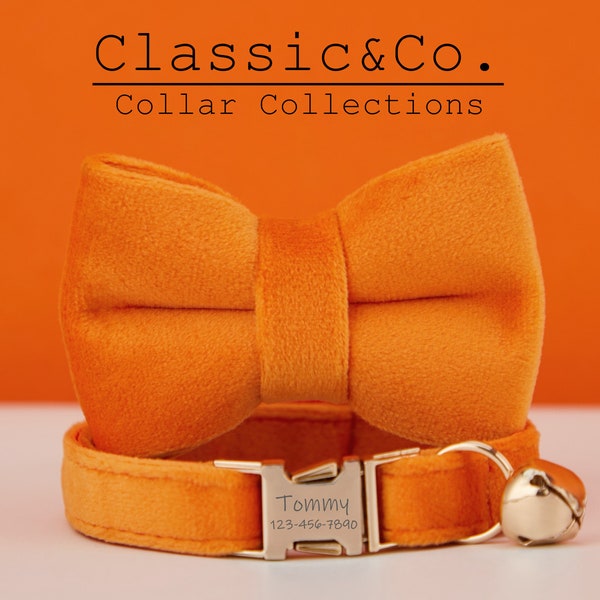 Velours orange personnalisé collier de chat noeud papillon plomb ensemble, personnalisé gravé chaton chiot nom étiquette et numéro de téléphone, petit chien mâle garçon animal de compagnie cadeau