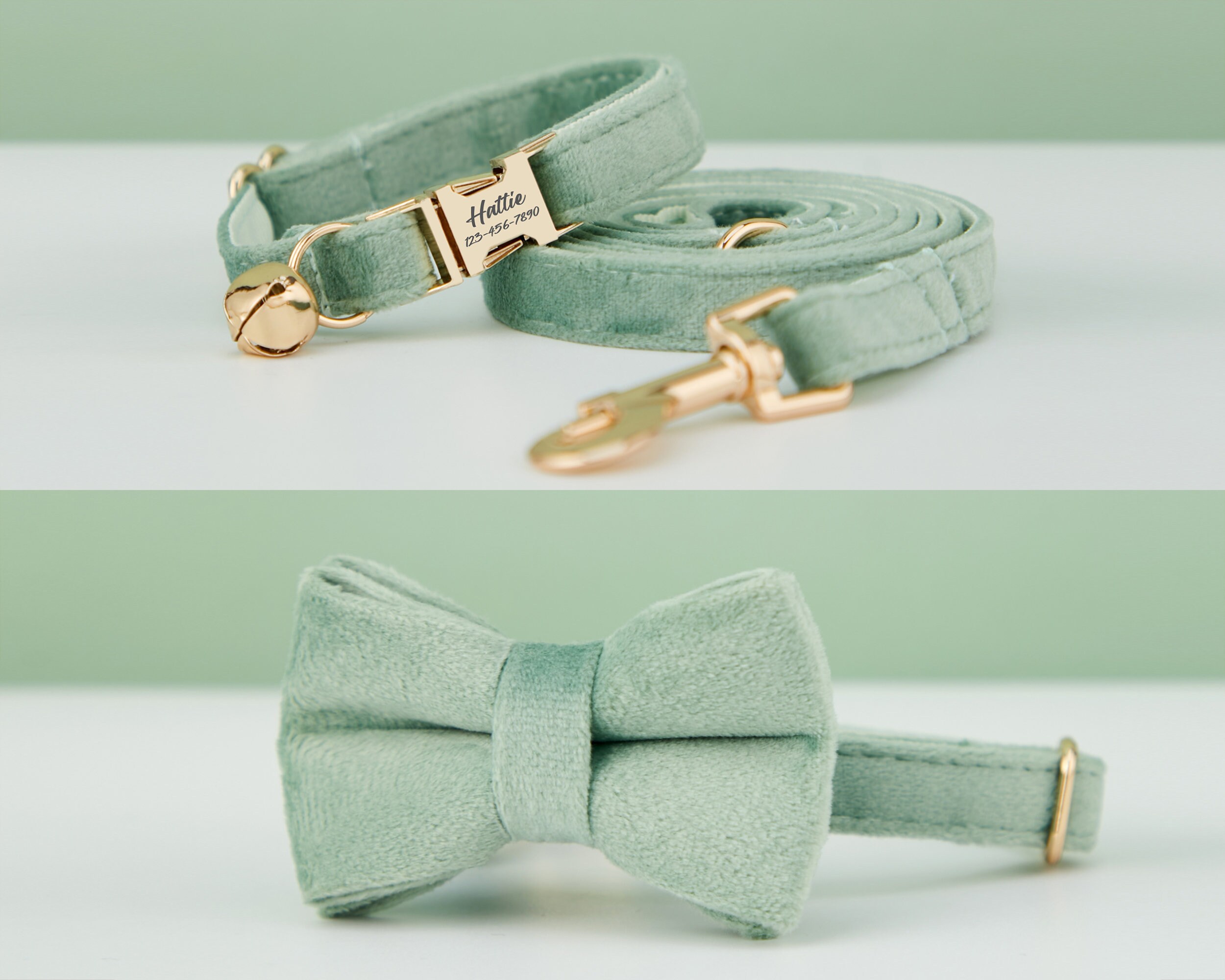 Süßes Halsband Mit Glöckchen Für Kleine Hunde & Katzen – Verstellbar, 6 Farben, Inkl. Leine