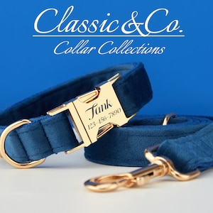 RoyalBlue Velvet Personalized Dog Collar Bow Tie Leash Set,Custom Engraved Pet Name Metal Buckle,Luxury Birthday Puppy Gift,FREE Shipping