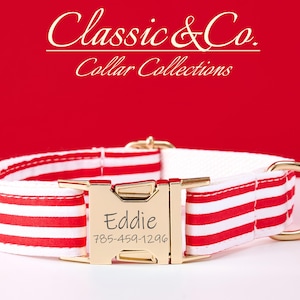 Può includere: Un collare per cani a righe bianche e rosse con fibbia color oro. La fibbia è incisa con il nome "Eddie" e un numero di telefono. Il collare ha un anello a D color oro e si trova su uno sfondo rosso. Il testo "Classic & Co. Collar Collections" è in alto.