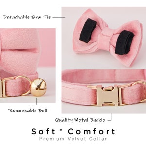 May include: Pink velvet cat collar with a detachable bow tie and a removable bell. The collar has a gold metal buckle.