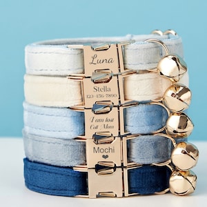 Luxus Samt Himmel DustyBlue Personalisierte Katzenhalsband Fliege Leine Set, benutzerdefinierte Kätzchen Welpen Namensschild, kostenlose Gold Glocke, kleiner Hund graviert Haustier Geschenk Bild 1