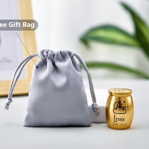 Op de afbeelding: Een goudkleurige gedenkurn met een wolk- en sterrenontwerp, de naam "Louie" en de data 2016-2024. Het staat naast een grijze geschenkzak met trekkoord. De tekst "Free Gift Bag" staat op de achtergrond.
