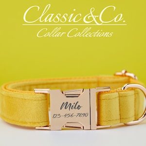 Personalized Dog Collar With Engraved Pet Name Metal Buckle,Yellow Velvet Dog Collar and Leash Set with Bell And Bow,FREE Shipping