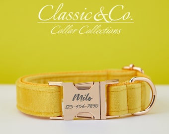 Collar de perro personalizado con hebilla de metal con nombre de mascota grabado, collar de perro de terciopelo amarillo y juego de correa con campana y lazo, envío GRATIS