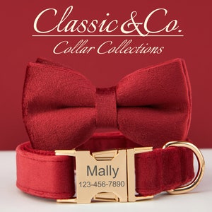Dog Collar Bow Tie Lead,Burgundy Velvet Girl Dog Collar With Engraved Name Metal Buckle,Puppy Collar and Lead