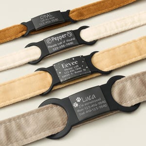 May include: Four black dog collar tags with engraved names and phone numbers. The tags are attached to different colored velvet collars.
