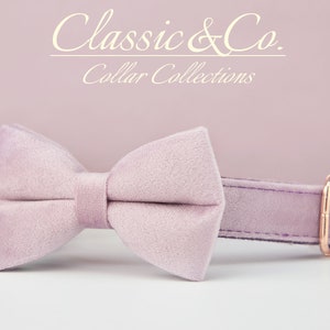 May include: A lavender velvet bow tie collar for a pet. The collar has a rose gold buckle and is made of soft, comfortable material. Classic & Co. Collar Collections.
