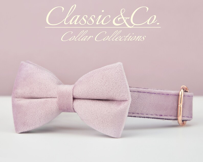 May include: A lavender velvet bow tie collar for a pet. The collar has a rose gold buckle and is made of soft, comfortable material. Classic & Co. Collar Collections.