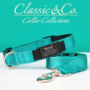 Puede incluir: Un collar de perro azul turquesa con una hebilla negra y una etiqueta plateada que dice "Peter, Por favor llama al 123-456-7890, 10010 A, Roma 51".