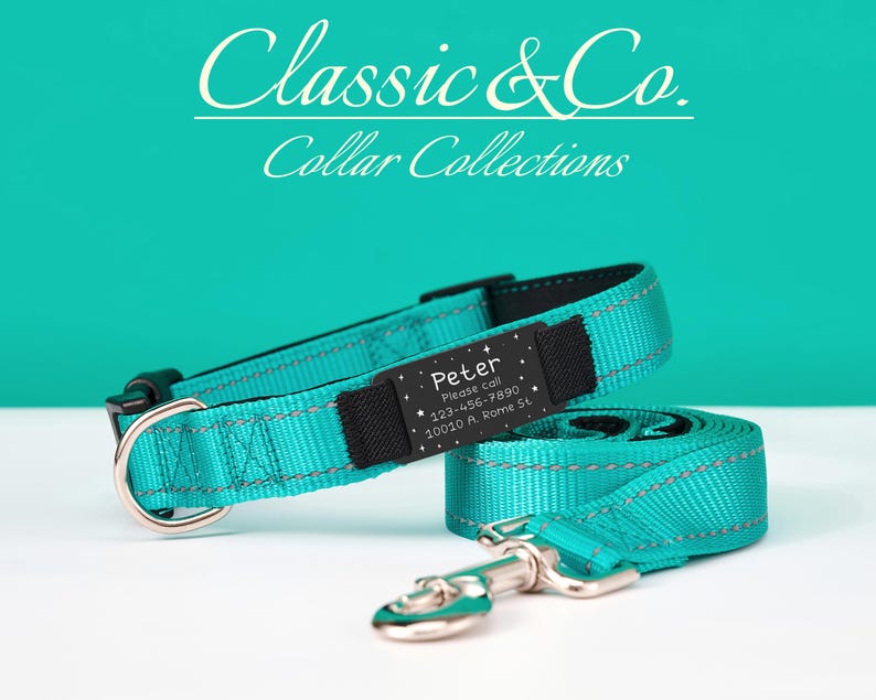 Puede incluir: Un collar de perro azul turquesa con una hebilla negra y una etiqueta plateada que dice "Peter, Por favor llama al 123-456-7890, 10010 A, Roma 51".