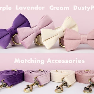 Multi-Colour Velvet Personalize Dog Collar Leash Bow Set,PurpleVioletLilac,Engraved Pet Name Bone Shape Silent Buckle,Wedding Puppy Gift image 4