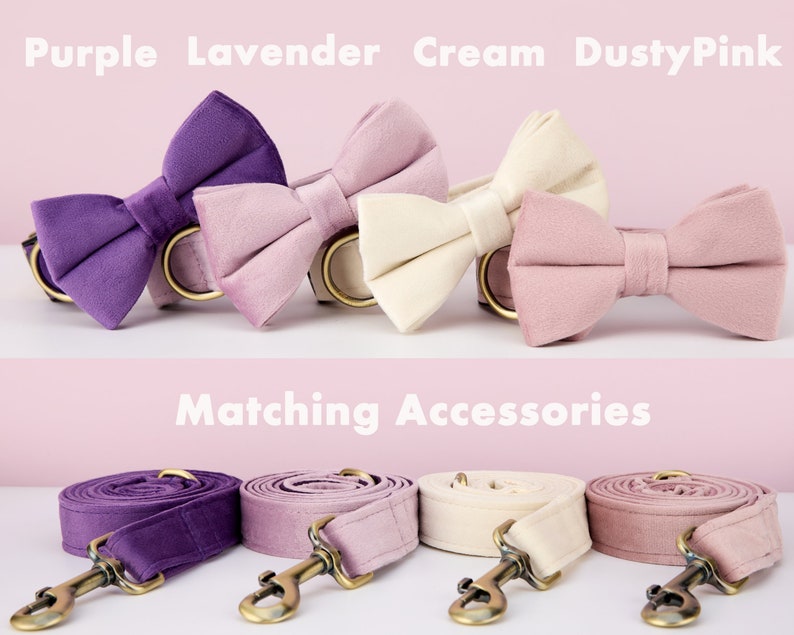 Multi-Colour Velvet Personalize Dog Collar Leash Bow Set,PurpleVioletLilac,Engraved Pet Name Bone Shape Silent Buckle,Wedding Puppy Gift image 4