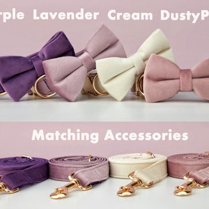Multiple Colour Velvet Personalise Dog Collar Leash Set with Bow,PurpleVioletLilac,Engraved Pet Name Metal Buckle,Wedding Puppy Gift image 4
