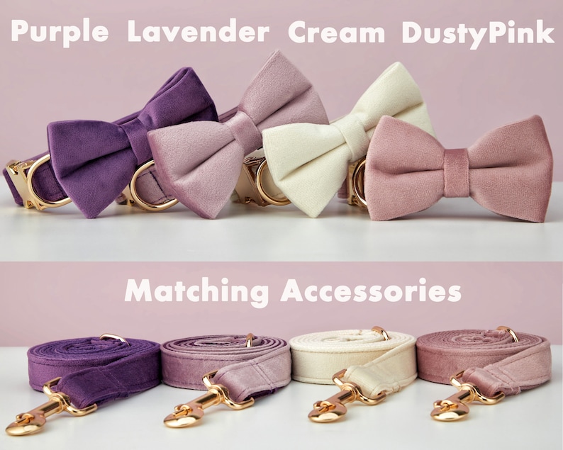 Multiple Colour Velvet Personalise Dog Collar Leash Set with Bow,PurpleVioletLilac,Engraved Pet Name Metal Buckle,Wedding Puppy Gift image 4