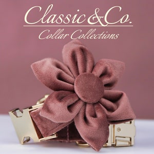 Peut inclure: Un collier pour chien en velours rose poussiéreux avec un accent floral assorti et des accessoires dorés. Classic & Co. Collar Collections.