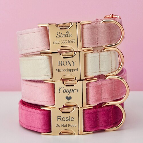 Multiple Colour Velvet Personalise Dog Collar Leash Set With Etsy
