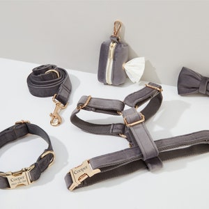 Set di pettorina e guinzaglio per cani in velluto grigio scuro, pettorina personalizzabile per cuccioli con collare, papillon e porta sacchetti per escrementi, set di pettorina antistrappo per matrimoni.