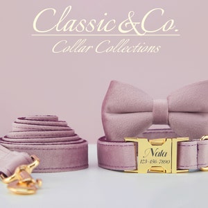 May include: A dusty rose velvet dog collar with a gold buckle and a matching bow tie. The collar is personalized with the name "Nala" and a phone number.  Classic & Co. Collar Collections.